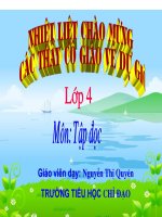 lop4 gavrot ngoai chien luy