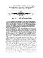 Bai viet ve moi truong hien nay