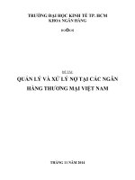 quản lý và xử lý nợ tại các ngân hàng thương mại việt nam