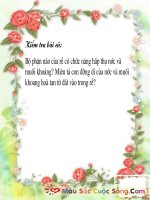 sinh hoc 6 tiet 12 cuc hay