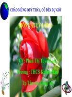 ôn tập chương I CƠ HỌC