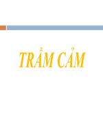 Trầm Cảm  tâm thần học