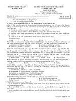 Thi thử chuyên Nguyễn Huệ 209