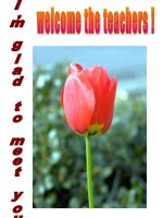 bài giảng phần writing unit : 14