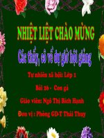 TNXH Con gà (PA1) ( Bài giảngthi HG giáo viên dạy giỏi cấp Tỉnh 10-11)