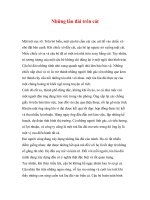 Những lâu đài trên cát