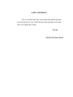 Phân tích hiệu quả sử dụng vốn tại ngân hàng thương mại cổ phần Quân Đội