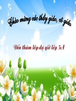 Mi thuat - Ve tranh de tai tu chon Lop 5 -tiet 23