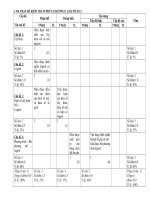 ma tran kiem tra 45 phút toán 12 (28/2/2011)