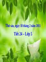 Đất nước tươi đẹp sao - tuần 24