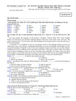 Đề thi thử TN THPT môn Tiếng Anh PB năm 2007 kỳ 1 mã 219