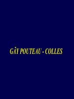BG GÃY POUTEAU COLLES