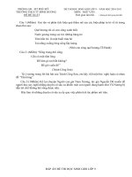 Đề và đáp án thi học sinh giỏi  môn Ngữ văn 9- THCS TT Bình Dương 2010-2011.