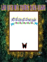 Một số con vật có hai chân