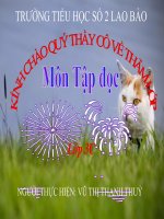 TẬP ĐỌC - HỘI ĐUA VOI Ở TÂY NGUYÊN -LỚP 3C