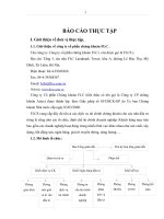 báo cáo thực tập tại Công ty Cổ phần Chứng khoán FLC