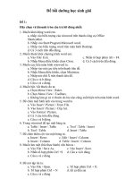 Đề bồi dưỡng HSG Tin học