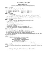 Đề thi HSG lớp 5 môn Tiếng Việt