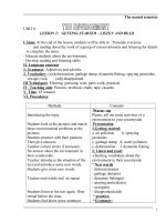 Giao an Tieng Anh chuan ky nang