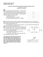 Đề và đáp án thi học sinh giỏi  môn Vật lý 9- THCS Mỹ An  2010-2011.