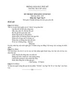 Đề và đáp án thi học sinh giỏi  môn Ngữ Văn  9- THCS Mỹ Châu 2010-2011.