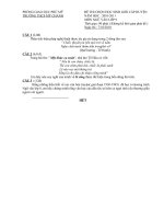 Đề và đáp án thi học sinh giỏi  môn Ngữ văn  9- THCS Mỹ Chánh  2010-2011.