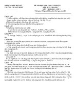 Đề và đáp án thi học sinh giỏi  môn Hóa học  9- THCS Mỹ Hiệp 2010-2011.