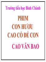 TNXH-LỚP 3-phim hươu cao cổ đẻ con