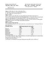 Đề và đáp án thi học sinh giỏi  môn Địa lý  9- THCS Mỹ Châu 2010-2011.