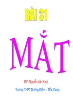 BÀI 31: MẮT