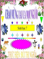 Bài 50: Có sửa đổi ( chuẩn)