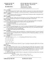 Đề và đáp án thi học sinh giỏi lớp 9 môn Hóa học- Huyện Phù Mỹ 2010-2011.