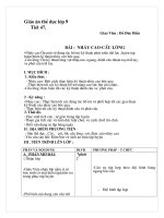 Nhảy cao-cầu lông