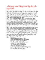 giải bài toán bằng cách lập hệ phương trình