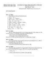 DE THI VA DAP AN HOA 2011 -HANG KHUNG