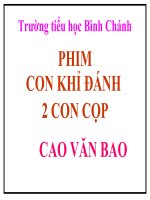 TNXH-LỚP 3-phim con khỉ đánh 2 con cọp