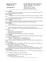 Đề và đáp án thi học sinh giỏi lớp 9 môn Sinh học- Huyện Phù Mỹ 2010-2011.