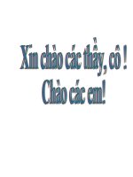 Bài 25: Sinh trưởng của vi sinh vật