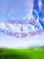 Chương Trình Địa Phương TÌM HIỂU VỀ ĐÀ LẠT