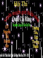 tuyên truyền giới thiệu sách 2010 - 2011