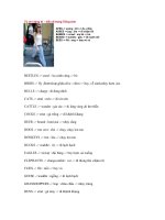 Từ chỉ dáng đi ,kiểu đi trong tiếng anh