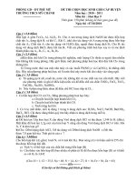 Đề và đáp án thi học sinh giỏi  môn Hóa học  9- THCS Mỹ Chánh  2010-2011.