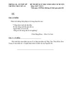 Đề và đáp án thi học sinh giỏi  môn Văn 9- THCS Mỹ An  2010-2011.