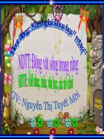 Giao an moi truong xung quanh