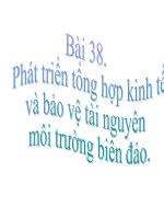 Bài 38. PHÁT TRIỂN TỔNG HỢP KINH TẾ VÀ BẢO VỆ TÀI NGUYÊN, MÔI TRƯỜNG BIỂN ĐẢO