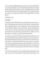 MARKETING DỊCH vụ THẺ TRẢ TRƯỚC QUỐC tế ACB VISA PREPAID và ACB MASTERCARD DYNAMIC của NGÂN HÀNG THƯƠNG mại cổ PHẦN á CHÂU (ACB)