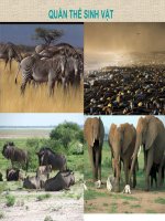 Chương 2: Quần thể sinh vật