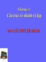 bai 9 Cau truc re nhanh