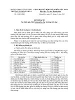 Kế hoạch tự đánh giá chất lượng trường tiểu học