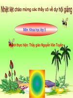 Khoa hoc Bai 57: Su sinh san ca ech